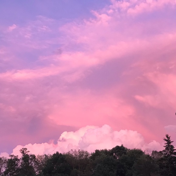 Meet your Posher, Madison - Picture 1 of 1